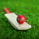 cricket betting sites